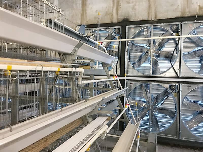 階梯式自動化養(yǎng)殖設(shè)備